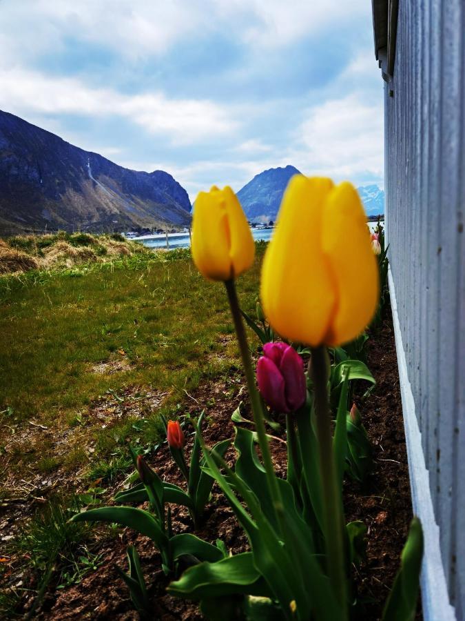 Banpim Beachside Lofoten Ramberg Esterno foto