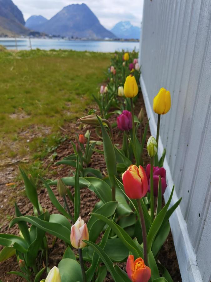 Banpim Beachside Lofoten Ramberg Esterno foto