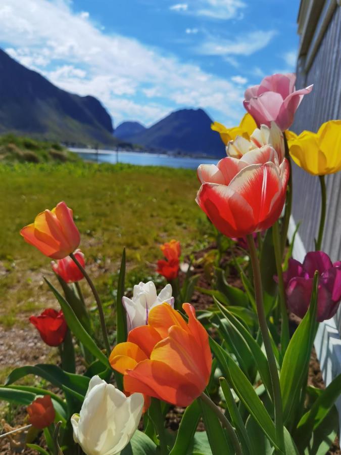 Banpim Beachside Lofoten Ramberg Esterno foto